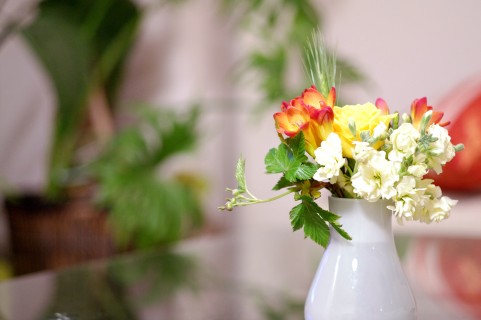 観葉植物や花の入れ物は陶器かプラスチック製か 材質の風水を取り入れる ウントキーネ