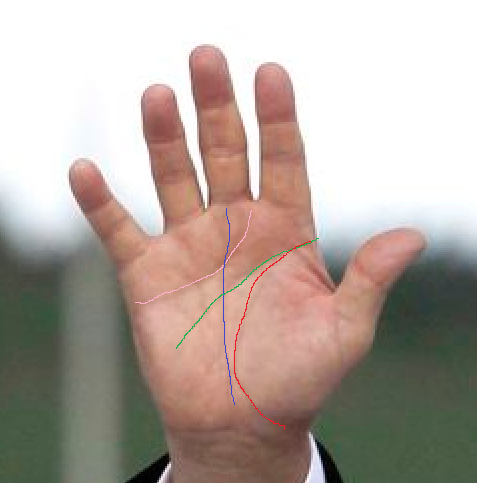 リーダーの手相4 並外れた意志の強さと行動力 そして集中力はどう活かされるか ドナルド トランプ氏編 ウントキーネ